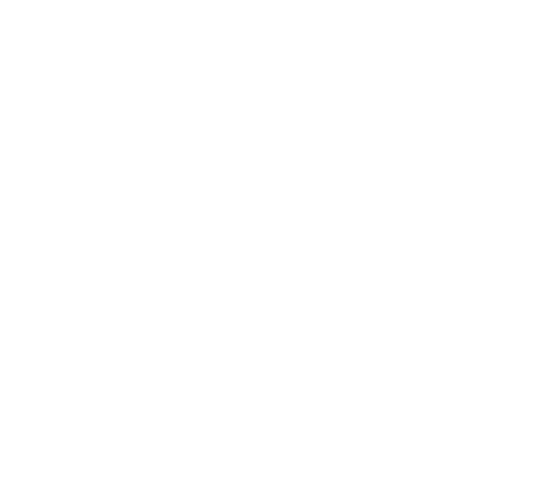 Astim Toro